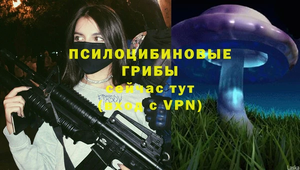 соль курить ск Медвежьегорск