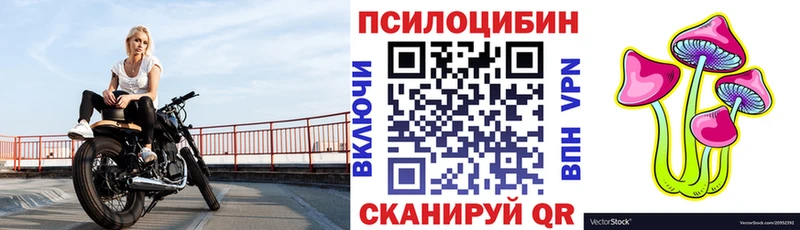 Галлюциногенные грибы Psilocybe  Нелидово 